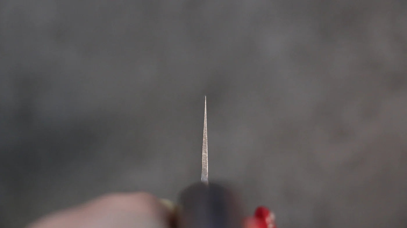 Seisuke Swedish Steel-stn (เหล็กสวีเดน stn) ลายค้อนตี มีดกิวโตะ Gyuto มีดทำครัวญี่ปุ่น 180mm ด้ามมะฮอกกานี