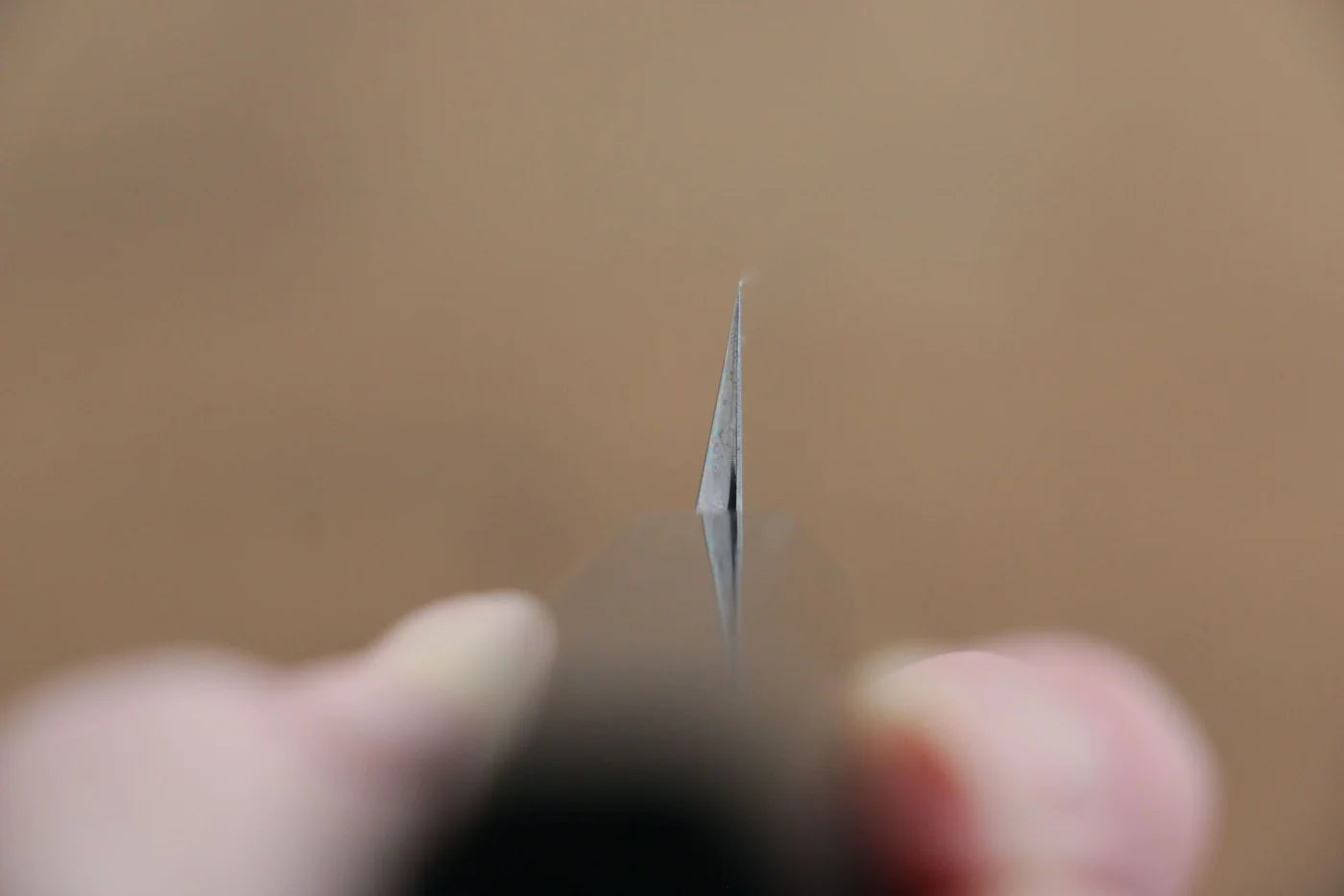 Seisuke VG10 มีด Sakimaru Takohiki มีดทำครัวญี่ปุ่น 270mm ด้ามไม้โอ๊กเคลือบ (Kamon)