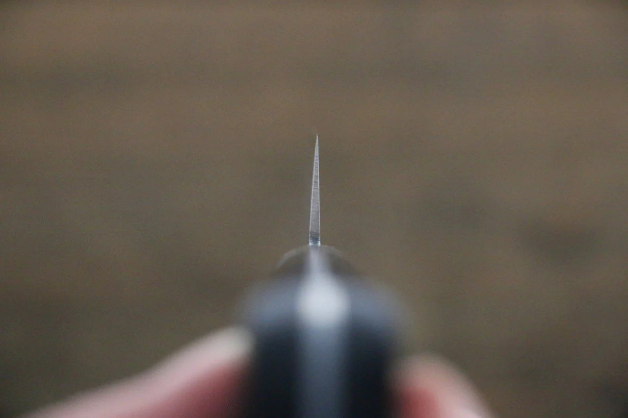 Tojiro (Fujitora) เหล็กกล้าผสม DP โคบอลด์ มีดเลาะเอ็น Sujihiki มีดทำครัวญี่ปุ่น 240mm ด้ามไม้ Pakka wood