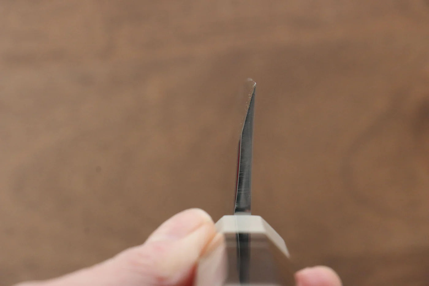 Jikko  Blue Steel (บลูสตีล) มีด Kiritsuke Deba มีดทำครัวญี่ปุ่น 120mm ด้ามไม้มะเกลือ (ประดับห่วงคู่)