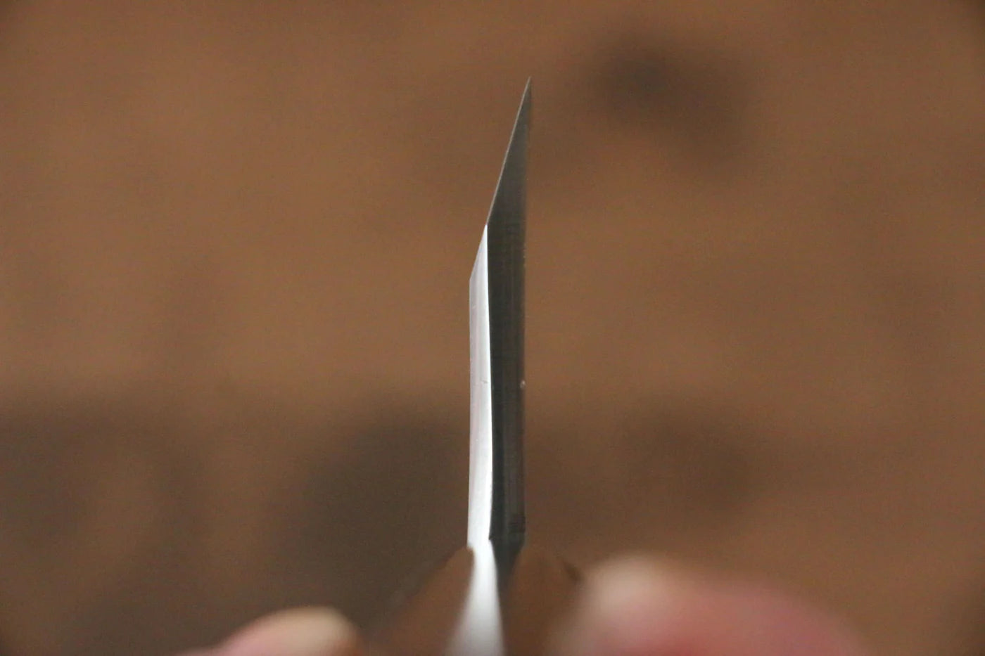 Jikko Silver Steel No.3 (เหล็กเงิน No.3) มีด Deba มีดทำครัวญี่ปุ่น 210mm ด้ามไม้พะยูง
