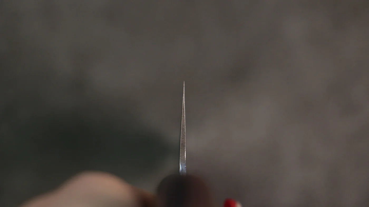 Seisuke Swedish Steel-stn (เหล็กสวีเดน stn) ลายค้อนตี มีดกิวโตะ Gyuto มีดทำครัวญี่ปุ่น 240mm ด้ามมะฮอกกานี