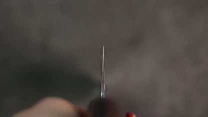 Seisuke Swedish Steel-stn (เหล็กสวีเดน stn) ลายค้อนตี มีดกิวโตะ Gyuto มีดทำครัวญี่ปุ่น 240mm ด้ามมะฮอกกานี