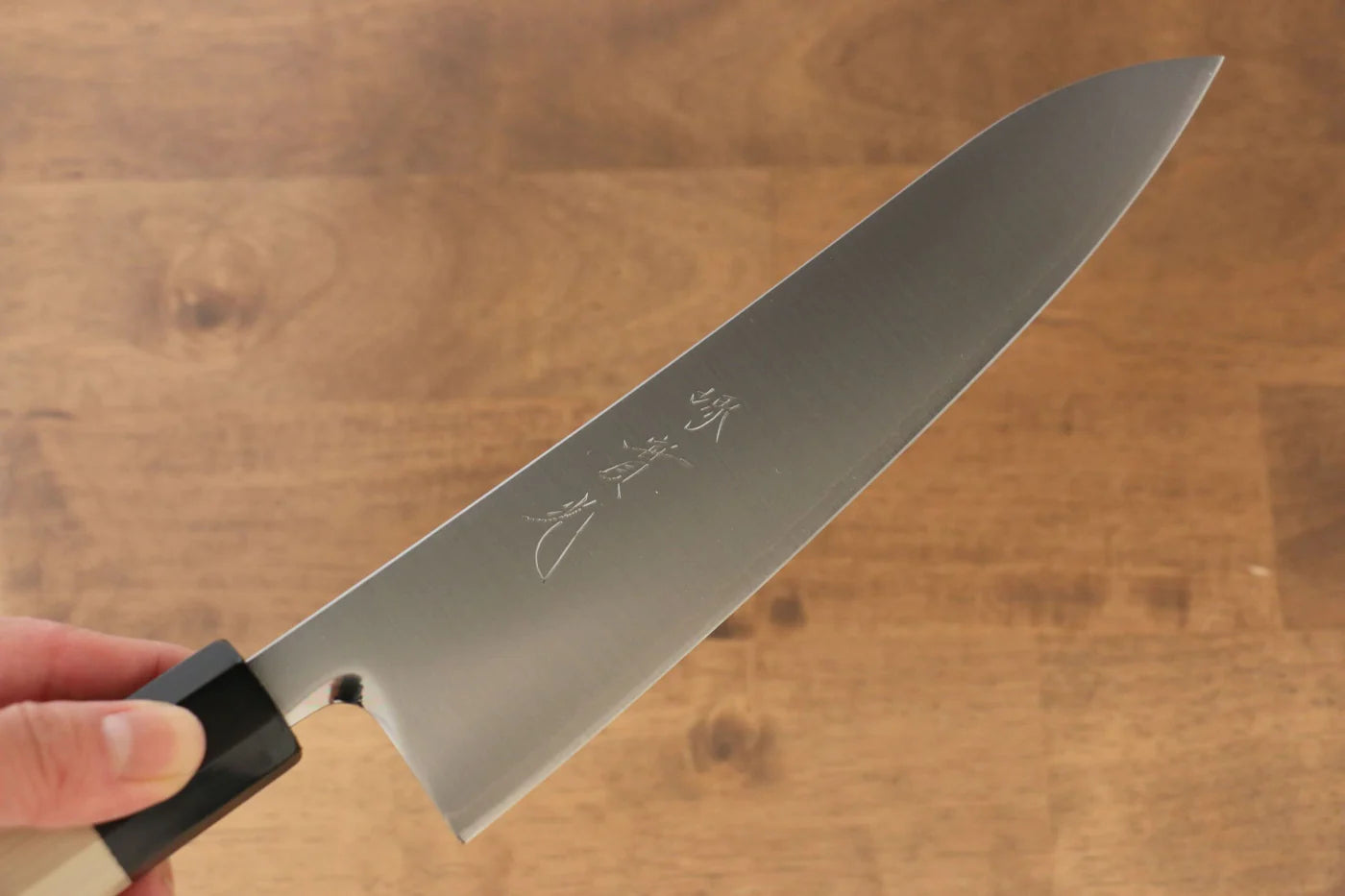 Jikko R2/SG2 มีดกิวโตะ Gyuto มีดทำครัวญี่ปุ่น 210mm ด้ามต้นเเมกโนเลีย