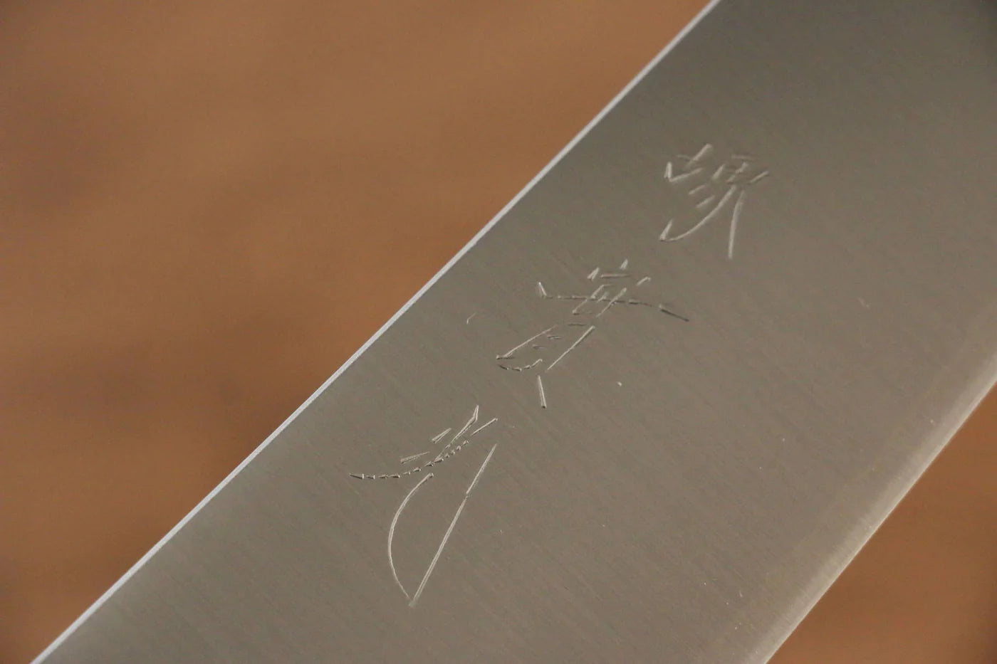 Jikko R2/SG2 มีดกิวโตะ Gyuto มีดทำครัวญี่ปุ่น 210mm ด้ามต้นเเมกโนเลีย