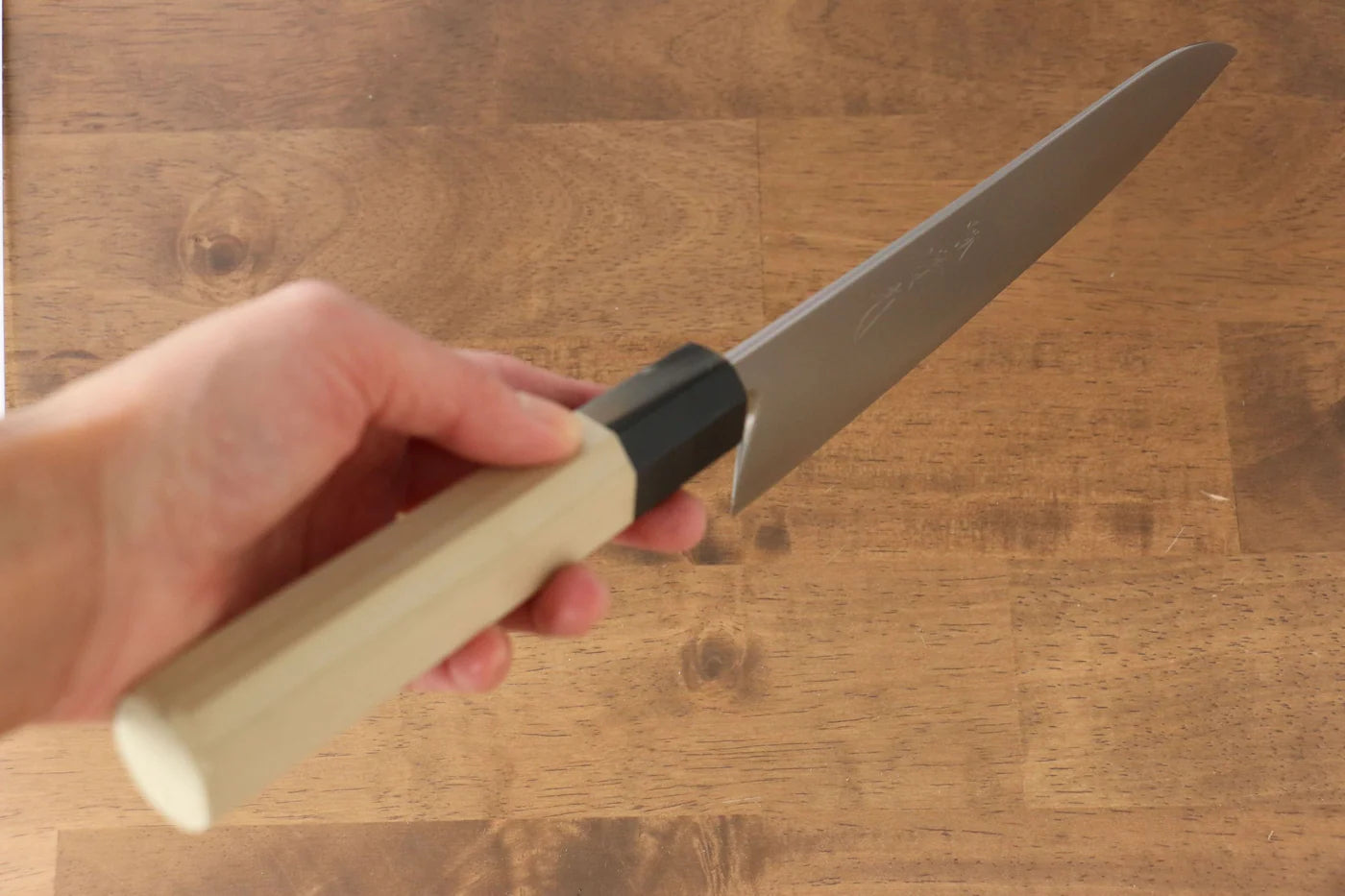 Jikko R2/SG2 มีดกิวโตะ Gyuto มีดทำครัวญี่ปุ่น 210mm ด้ามต้นเเมกโนเลีย