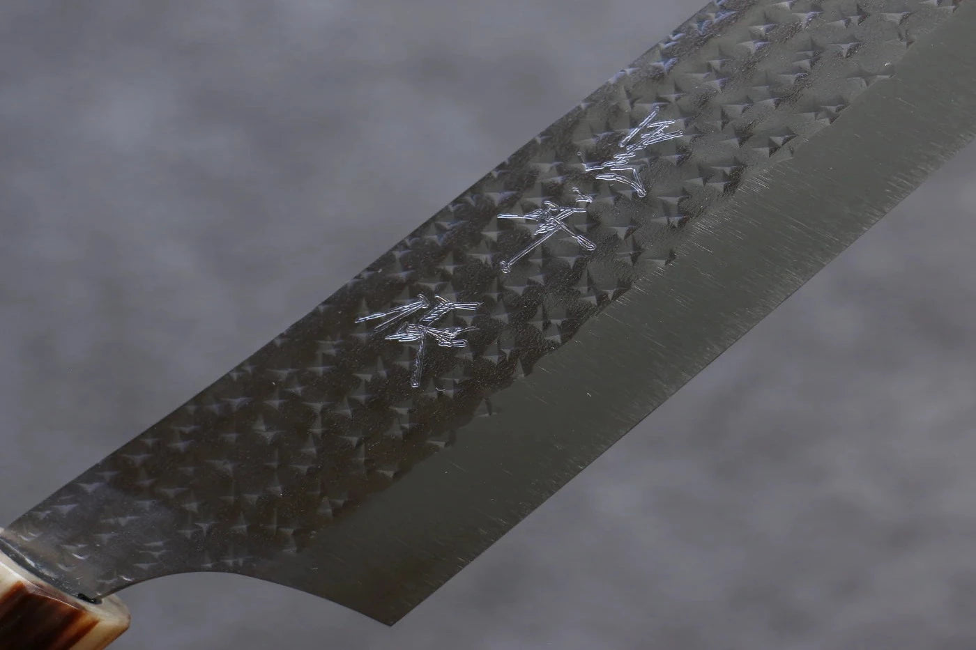 Yu Kurosaki Senko R2/SG2 ลายค้อนตี มีดเลาะเอ็น Sujihiki มีดทำครัวญี่ปุ่น 270mm ไม้มะเกลือด้าม