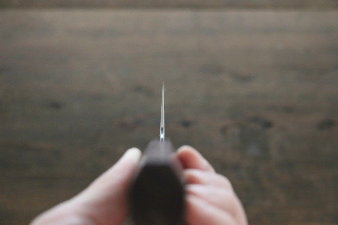 Sukenari R2/SG2 3 ชั้น มีดกิวโตะ Gyuto มีดทำครัวญี่ปุ่น 210mm ด้ามไม้พะยูง