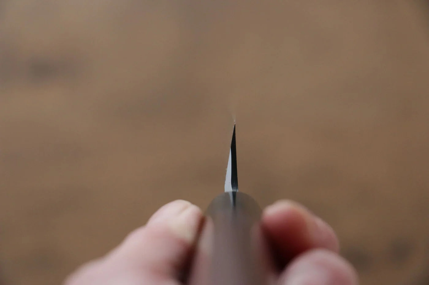Jikko Silver Steel No.3 (เหล็กเงิน No.3) มีด Kiritsuke Yanagiba มีดทำครัวญี่ปุ่น 240mm ด้ามไม้พะยูง