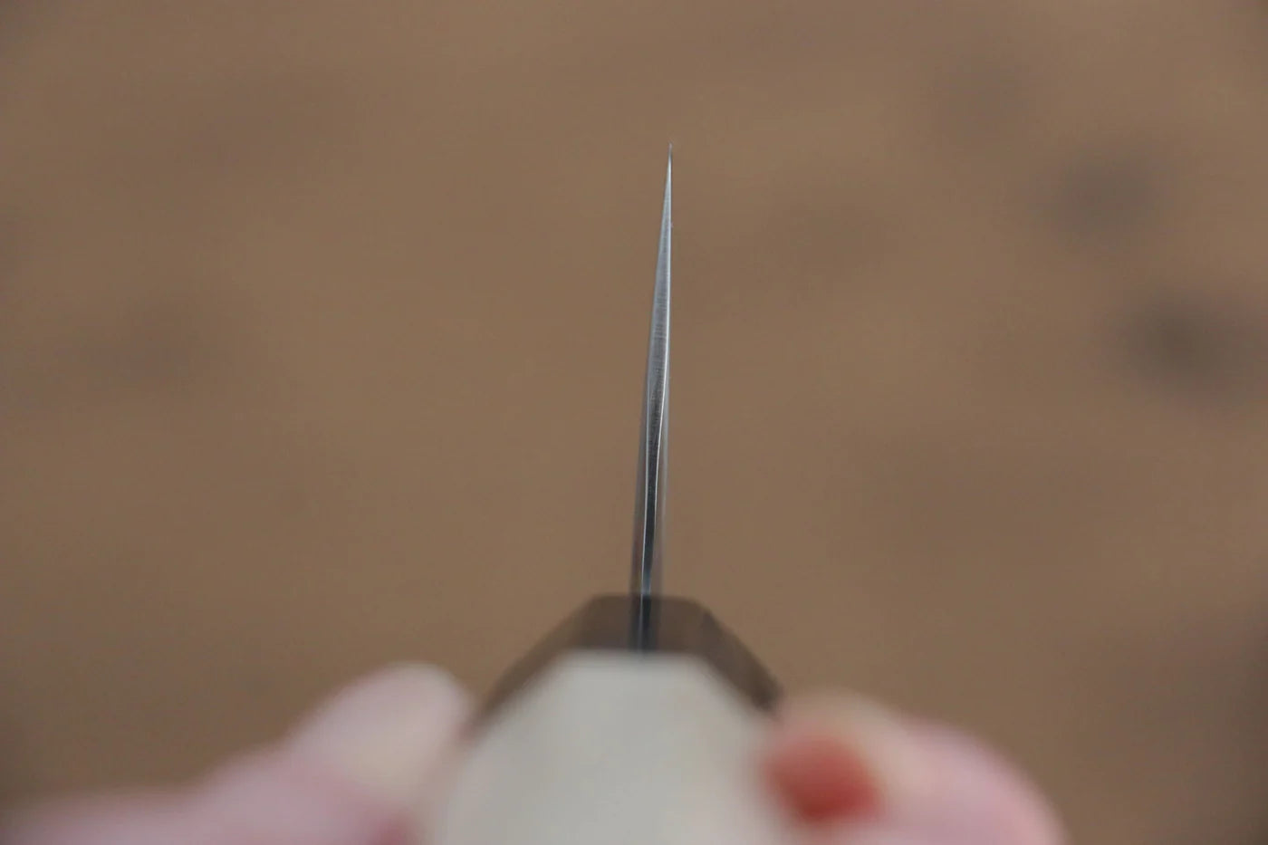 Jikko R2/SG2 มีด Kiritsuke Gyuto มีดทำครัวญี่ปุ่น 200mm ด้ามต้นเเมกโนเลีย