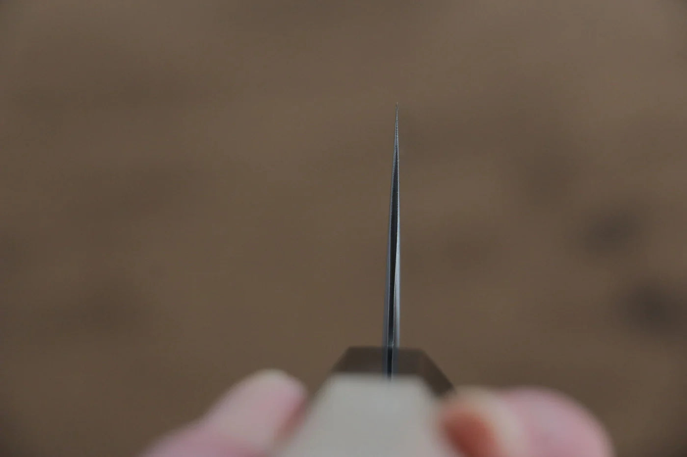 Jikko R2/SG2 มีด Kiritsuke Gyuto มีดทำครัวญี่ปุ่น 230mm ด้ามต้นเเมกโนเลีย