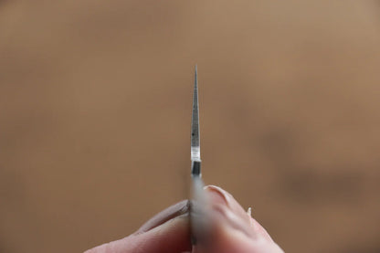 Sakai Takayuki VG10 ดามัสกัส 33 ชั้น มีดเลาะเอ็น Sujihiki มีดทำครัวญี่ปุ่น 240mm