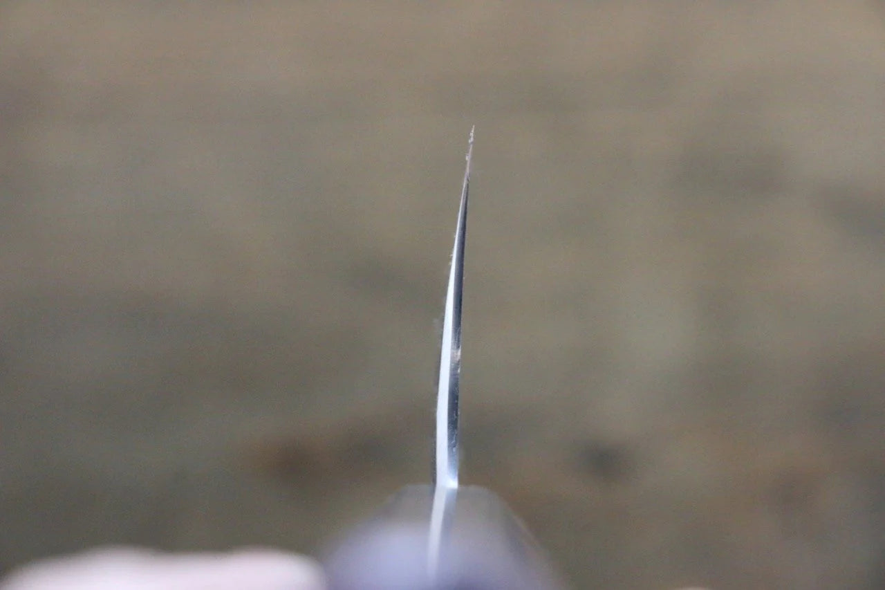 Seisuke Blue Steel (บลูสตีล) No.2 ลายค้อนตี Kurouchi มีดกิวโตะ Gyuto มีดทำครัวญี่ปุ่น 240mm ด้ามไม้พะยูง