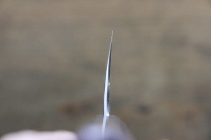Seisuke Blue Steel (บลูสตีล) No.2 ลายค้อนตี Kurouchi มีดกิวโตะ Gyuto มีดทำครัวญี่ปุ่น 240mm ด้ามไม้พะยูง