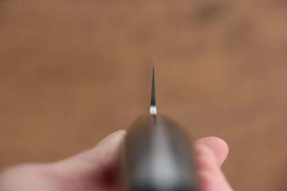 Seisuke VG10 ขัดขึ้นเงากระจก ลายดามัสกัส มีดสไลซ์ มีดทำครัวญี่ปุ่น 210mm ด้าม Micarta ดำ