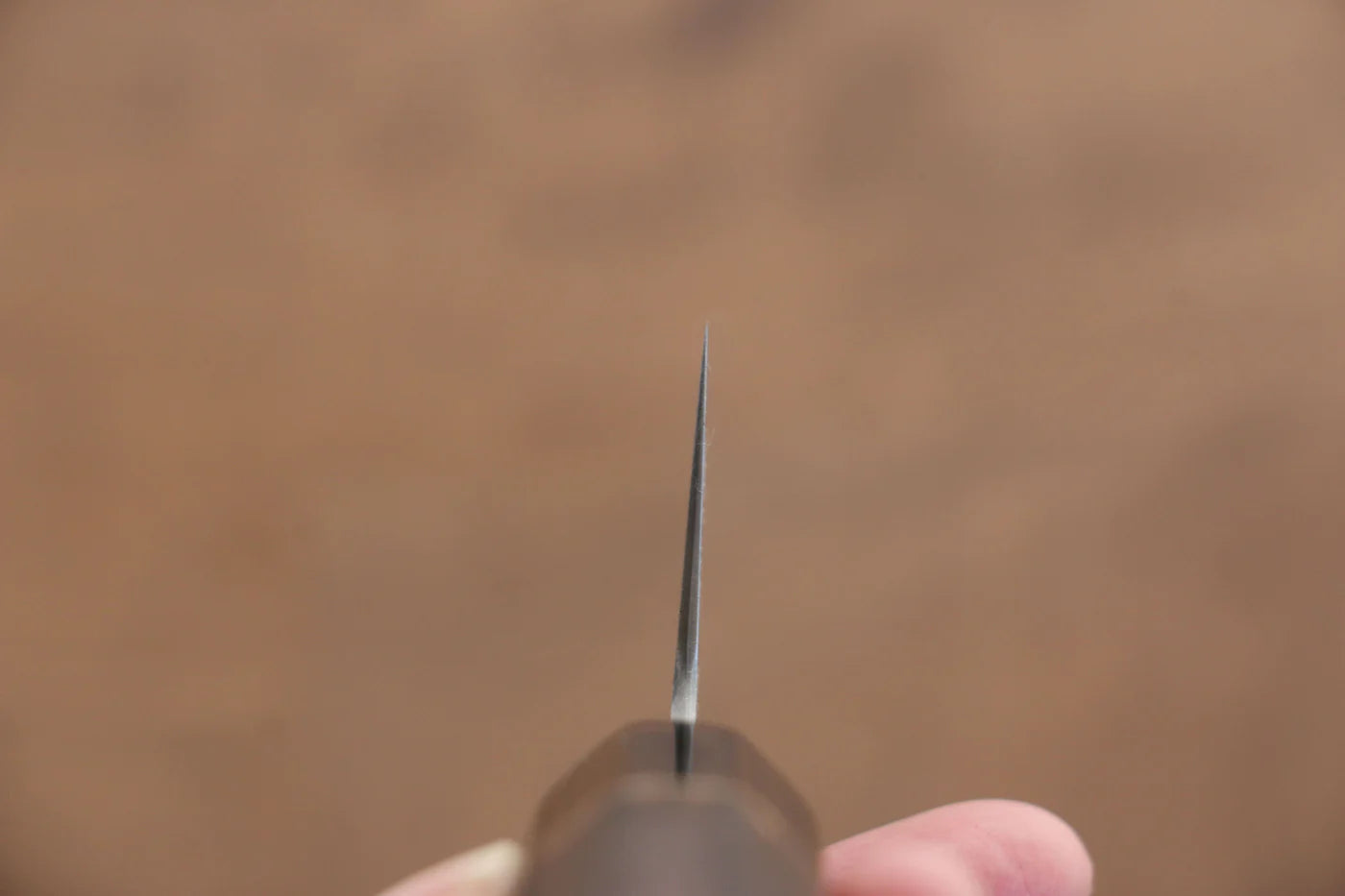 Seisuke Swedish Steel-stn (เหล็กสวีเดน stn) มีดกิวโตะ Gyuto มีดทำครัวญี่ปุ่น 210mm ด้ามไม้เกาลัดเผา