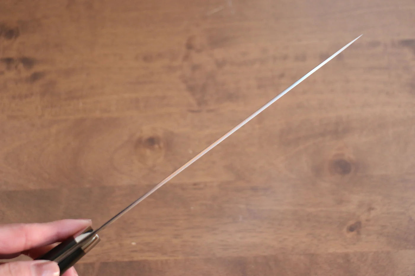 Takeshi Saji Blue Steel (บลูสตีล) No.2 ดามัสกัสสี มีดกิวโตะ Gyuto มีดทำครัวญี่ปุ่น 210mm ด้าม Micarta ดำ