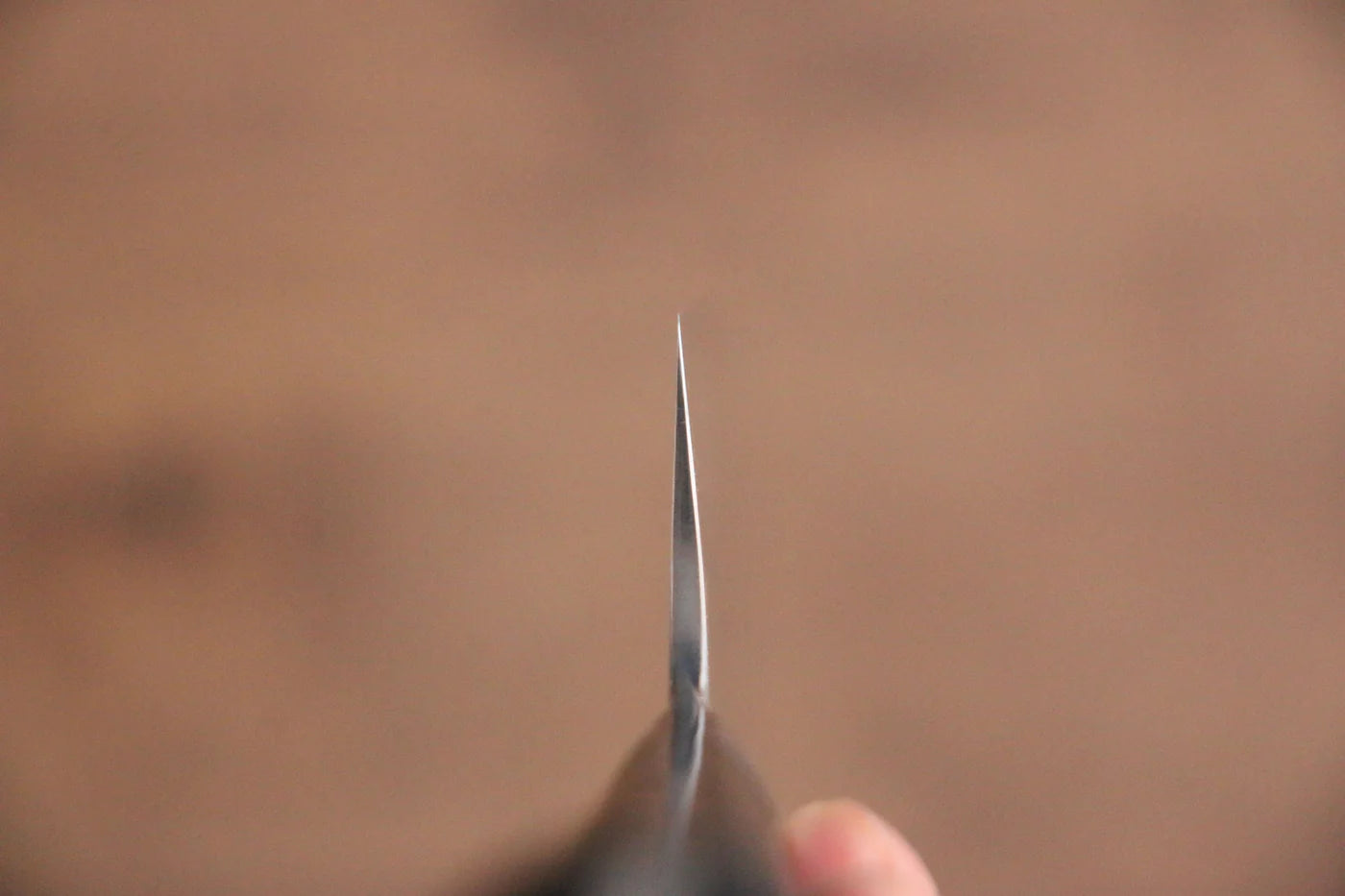 Takeshi Saji Blue Steel (บลูสตีล) No.2 ดามัสกัสสี มีดกิวโตะ Gyuto มีดทำครัวญี่ปุ่น 210mm ด้าม Micarta ดำ