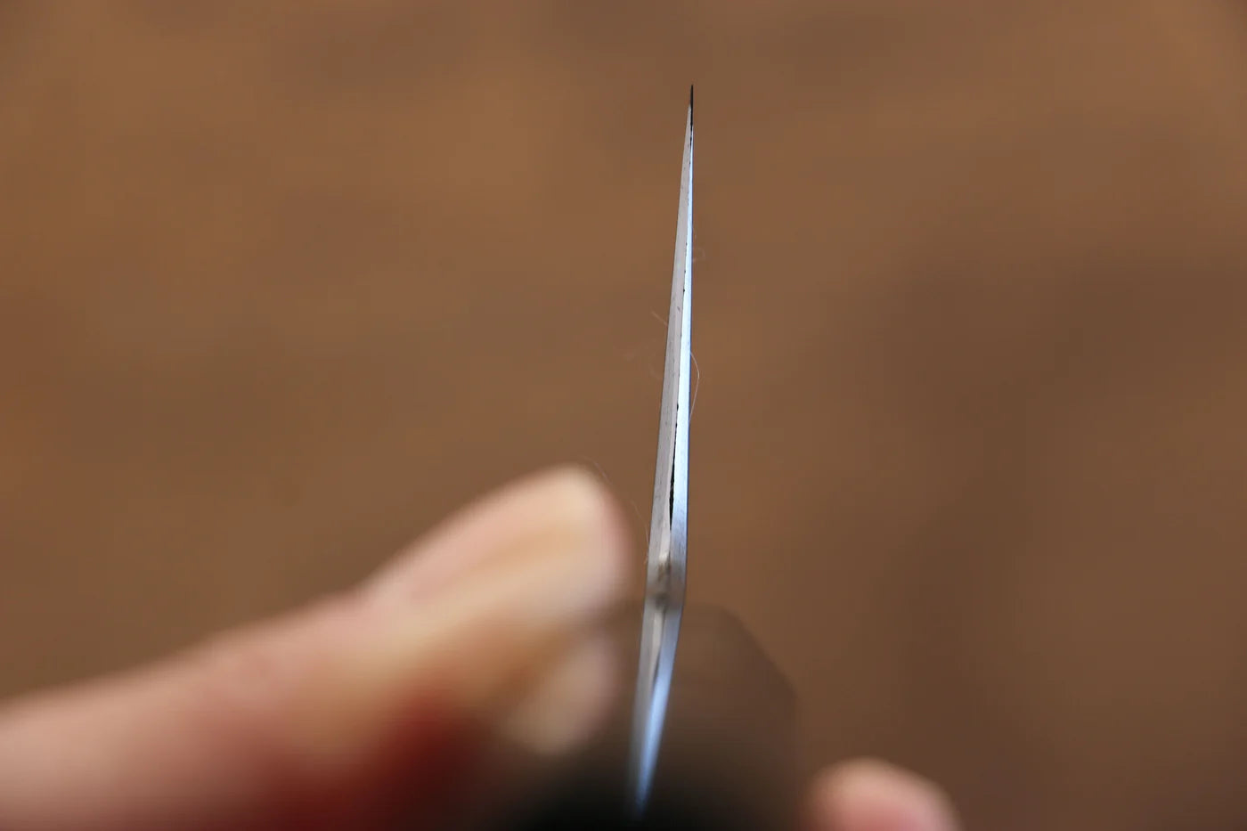 Jikko Blue Steel (บลูสตีล) ดามัสกัส มีดกิวโตะ Gyuto มีดทำครัวญี่ปุ่น 210mm ด้ามไม้มะเกลือ (ประดับห่วงคู่)