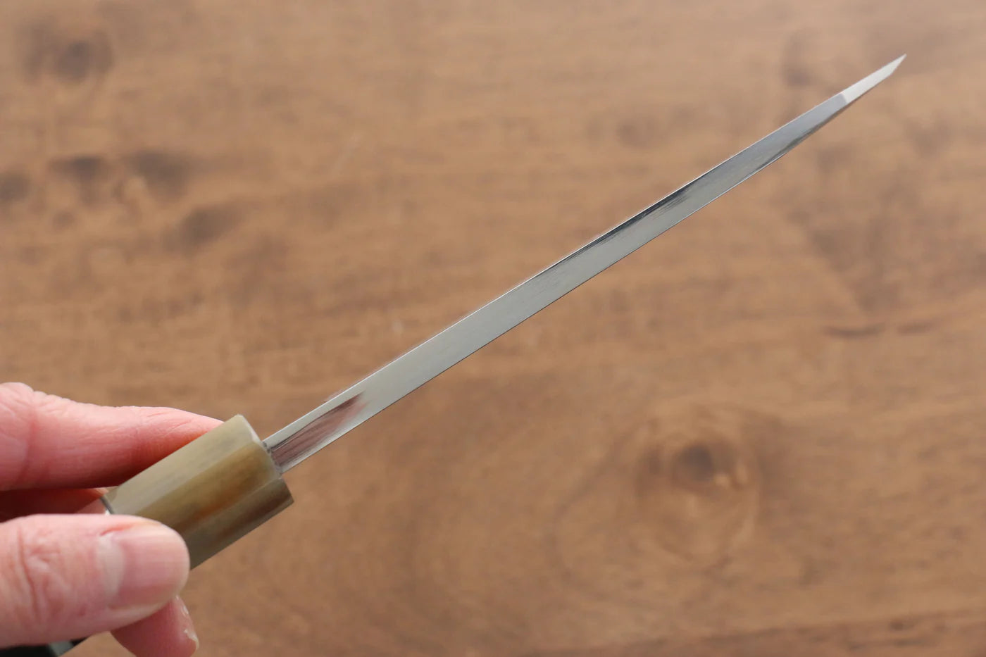Jikko  Blue Steel (บลูสตีล) มีด Sakimaru Yanagiba มีดทำครัวญี่ปุ่น 300mm ด้ามไม้มะเกลือ (ประดับห่วงคู่)