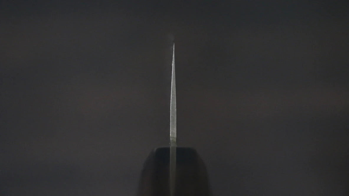Seisuke AUS10 ดามัสกัส 45 ชั้น มีดกิวโตะ Gyuto มีดทำครัวญี่ปุ่น 240mm ด้ามไม้พะยูง